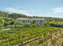 villa for rent eudora st tropez vineyard